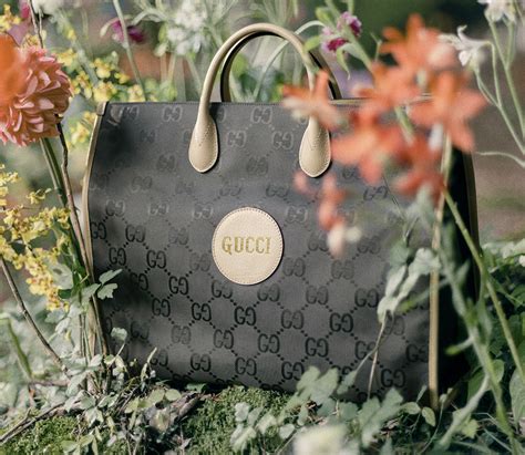 Gucci eco